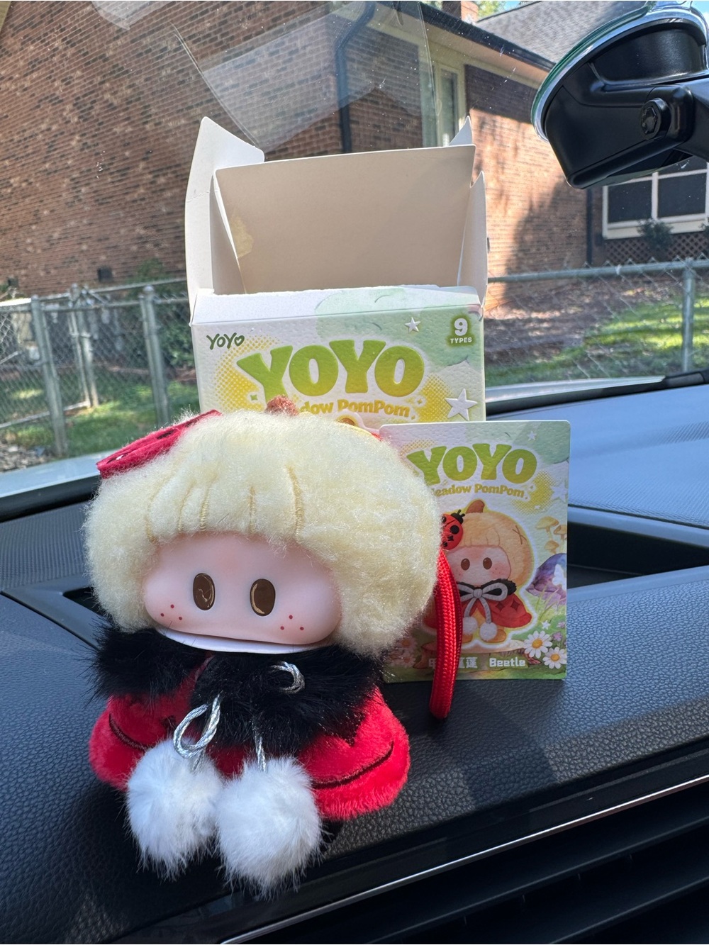 Yoyo meadow Pom Pom ( beetle )
